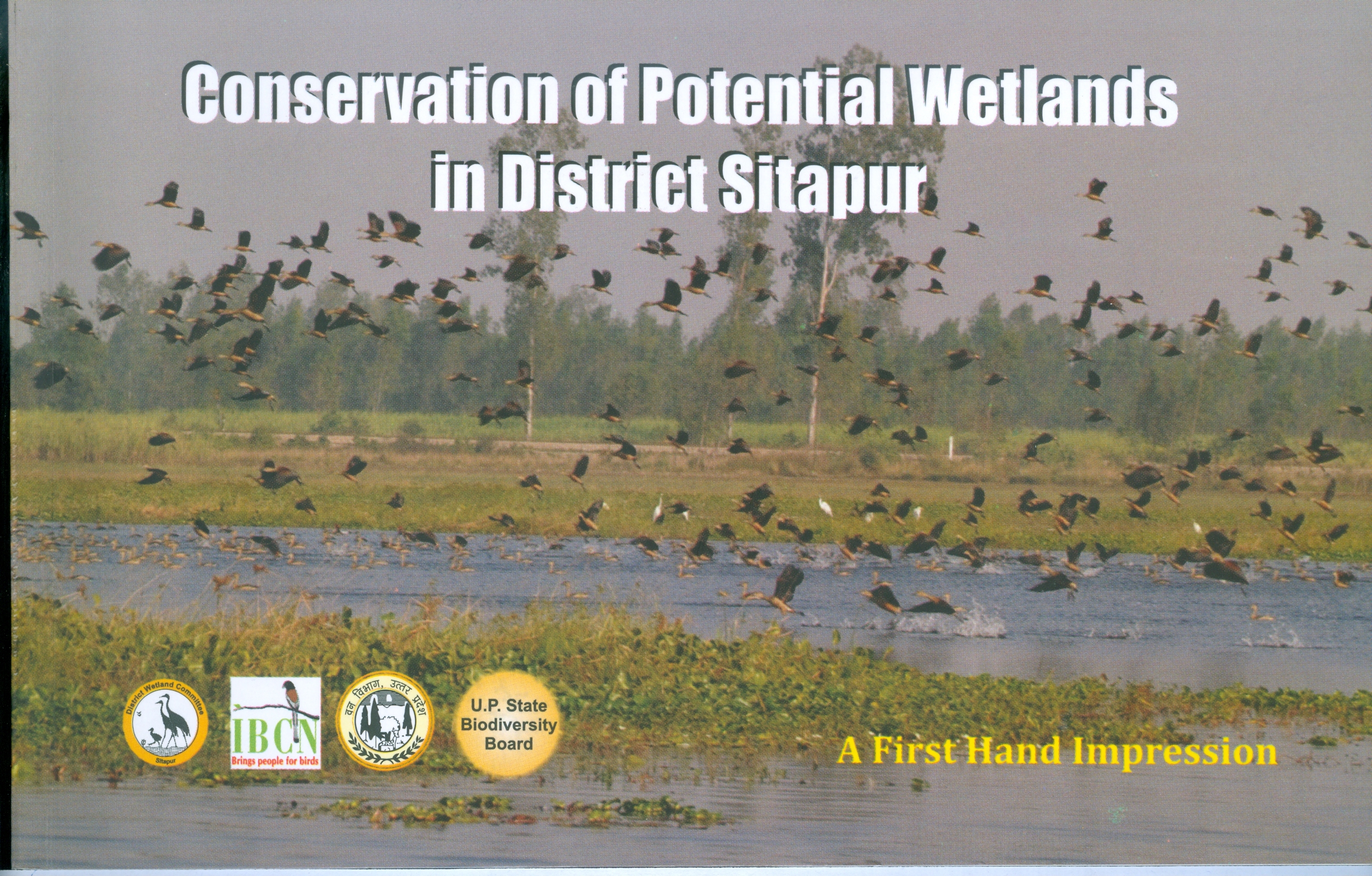 Conservation of Potential Wetlands in Sitapur